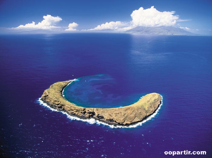 Molokini Maui