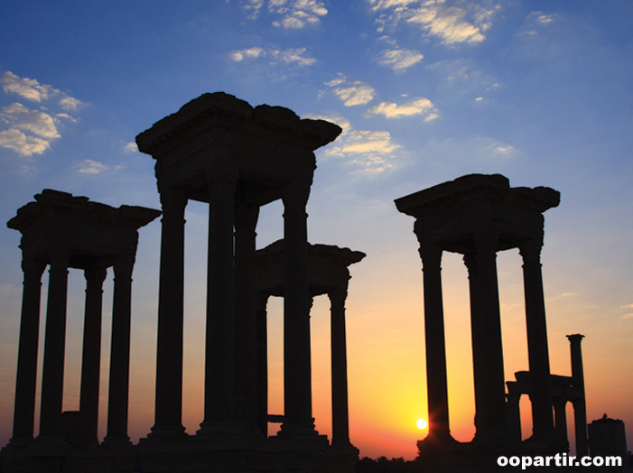 Palmyre © OT Syrie