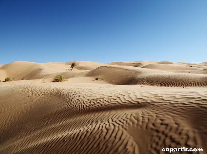 désert © ONT Tunisien