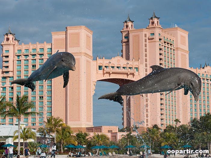 Dolphin Cay Atlantis © Lionel Pozzoli