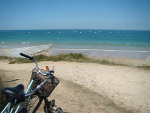 Ile de R�