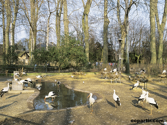 Parc Organgerie, Strasbourg © Y. Noto-Campanella