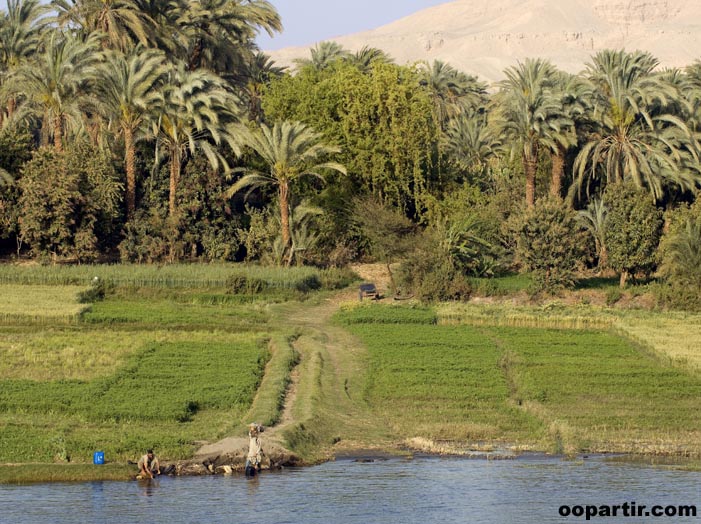 Sur une rive du Nil © Egyptian Tourist Authority