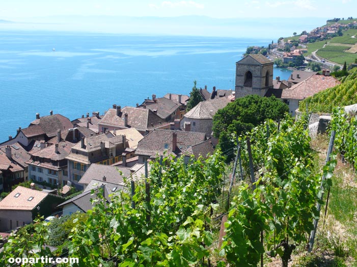 Village de Saint-Saphorin, vignoble de Lavaux  © VDM