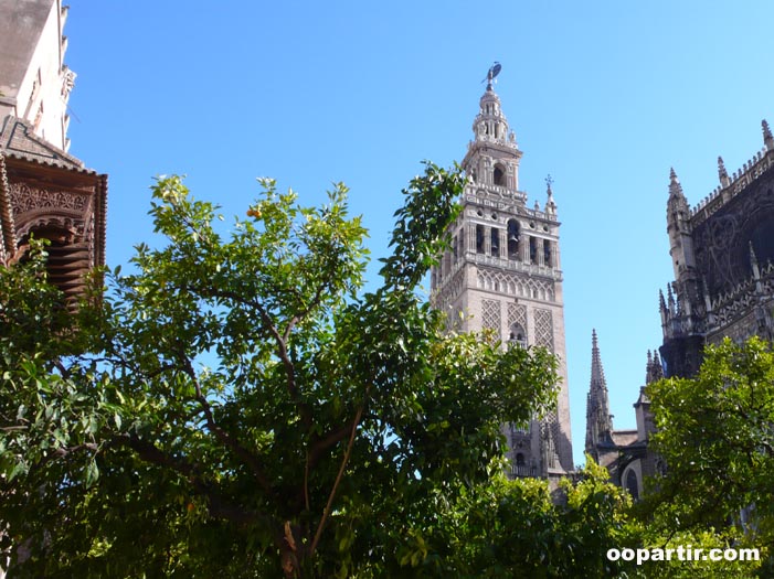 La Giralda depuis le jardin de la cathédrale, Séville © VDM