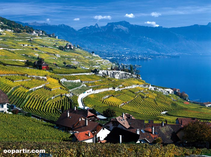 Vignoble de Lavaux, lac Léman  © Suisse Tourisme